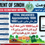 Government Elementary College Thatta Jobs 2026
